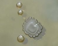 water bacteria water bacteria